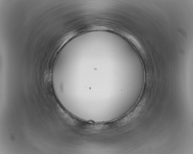 X0000108481193200904171604