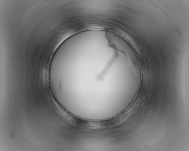 X0000108481194200904171604