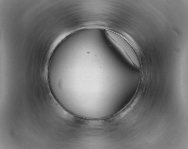 X0000108481196200904171604