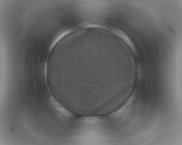 X0000108481198200904171604