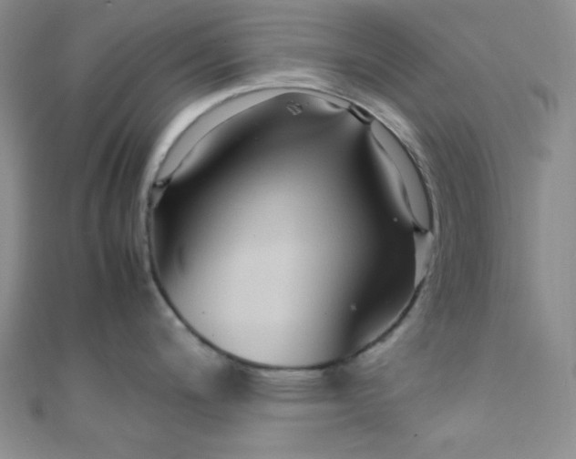 X0000108481200200904171604