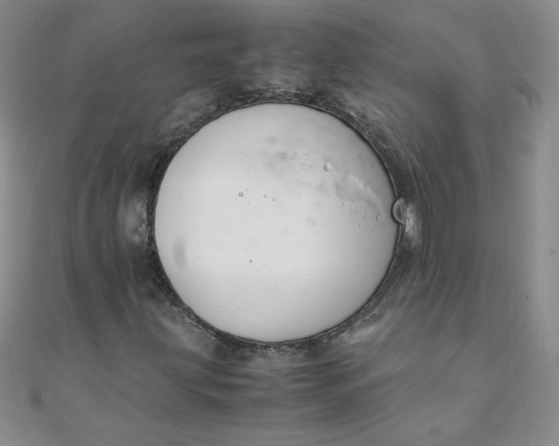 X0000108481203200904171603