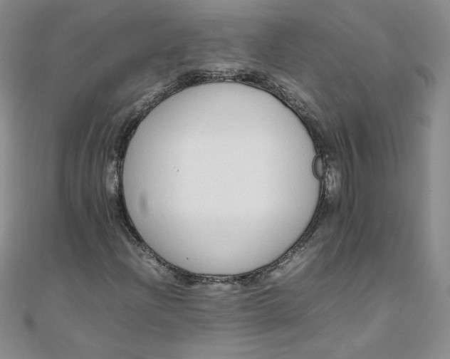 X0000108481204200904171603