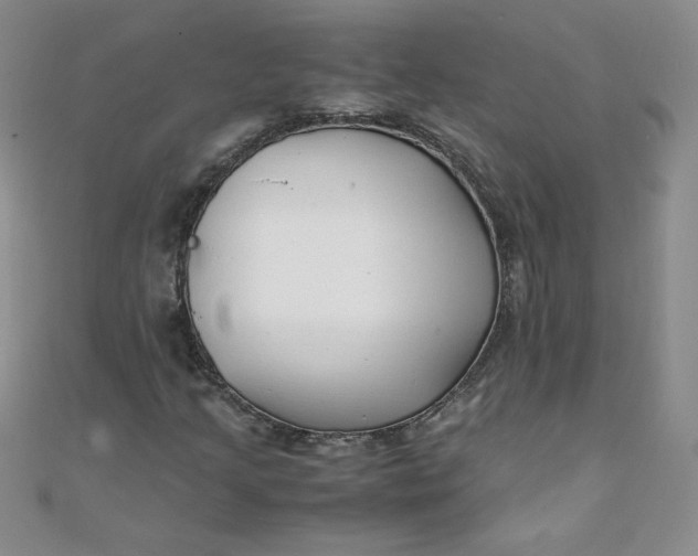 X0000108481205200904171603