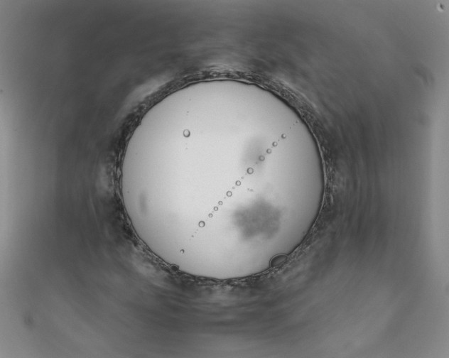 X0000108481207200904171603