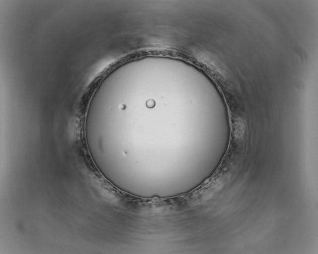 X0000108481208200904171603