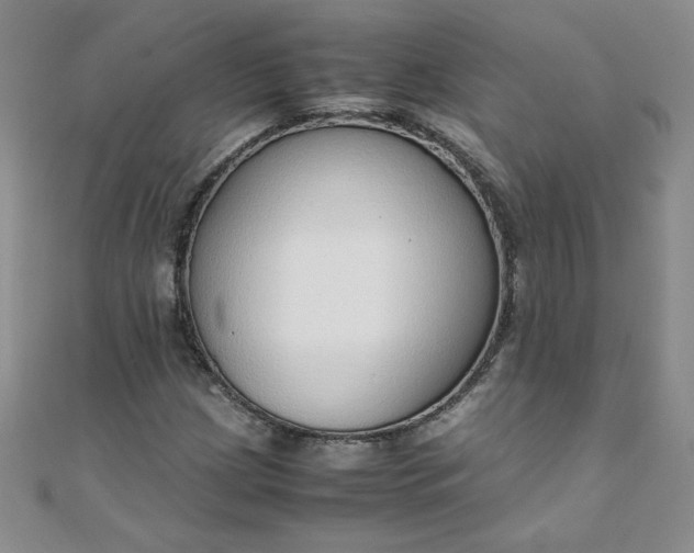 X0000108481209200904171603
