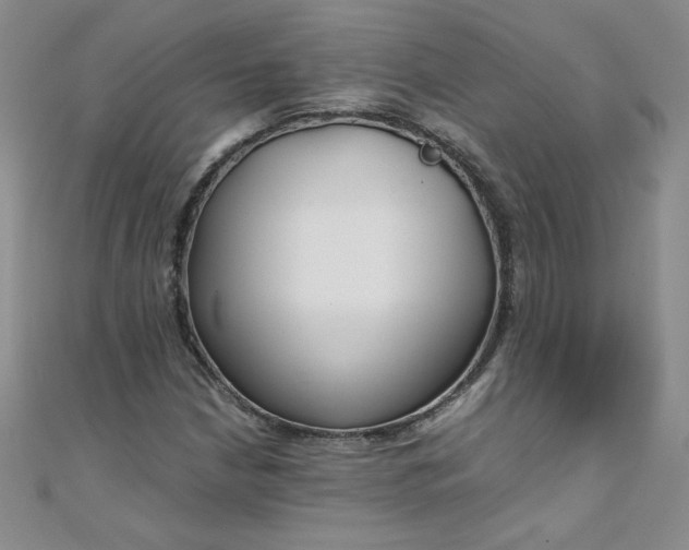 X0000108481210200904171603