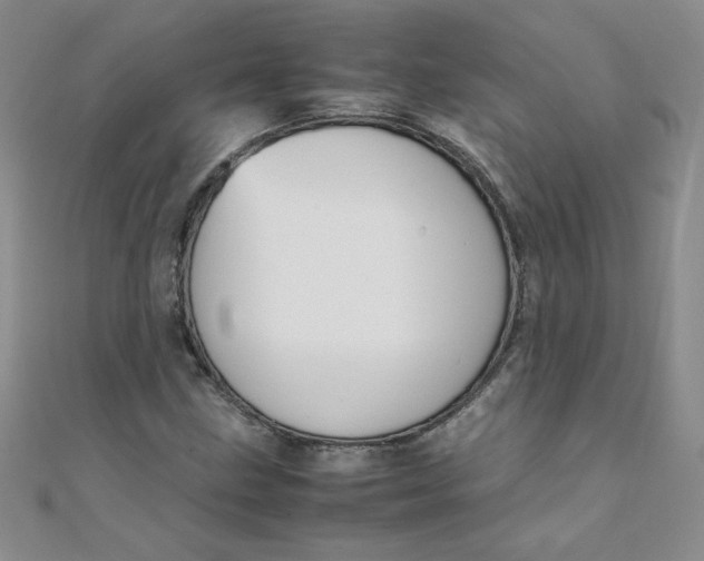 X0000108481211200904171603