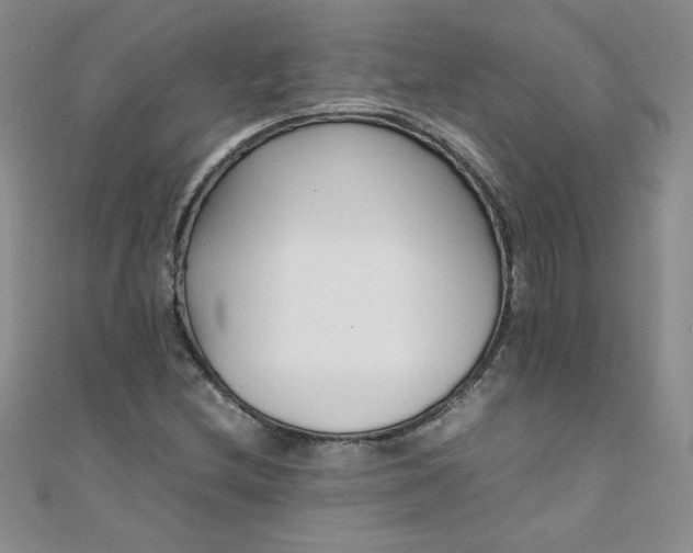 X0000108481212200904171603