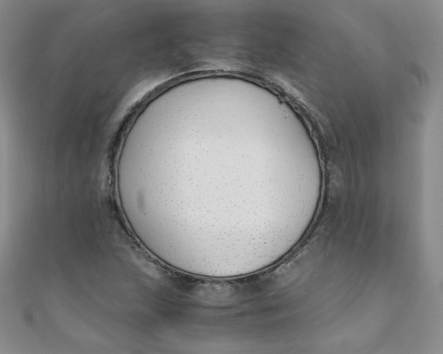 X0000108481215200904171603