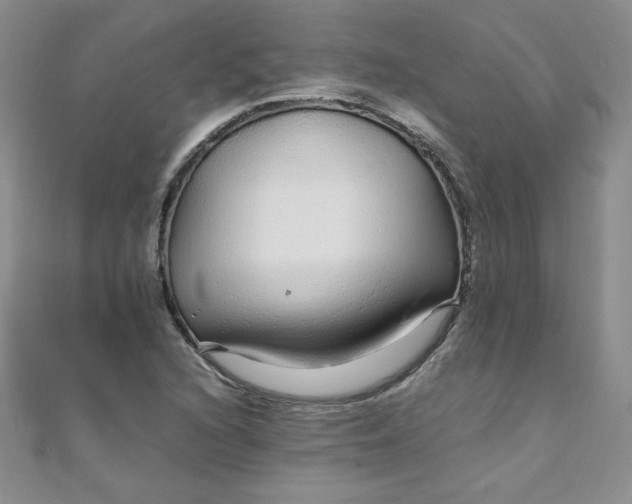 X0000108481216200904171603