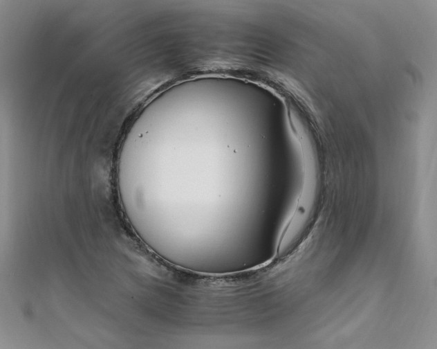 X0000108481217200904171603