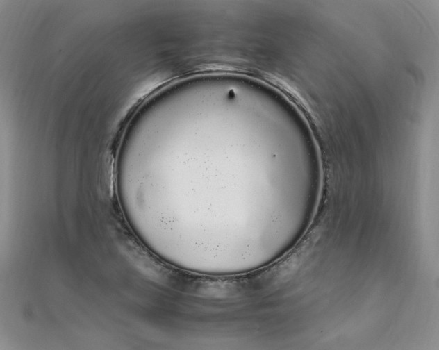 X0000108481219200904171603