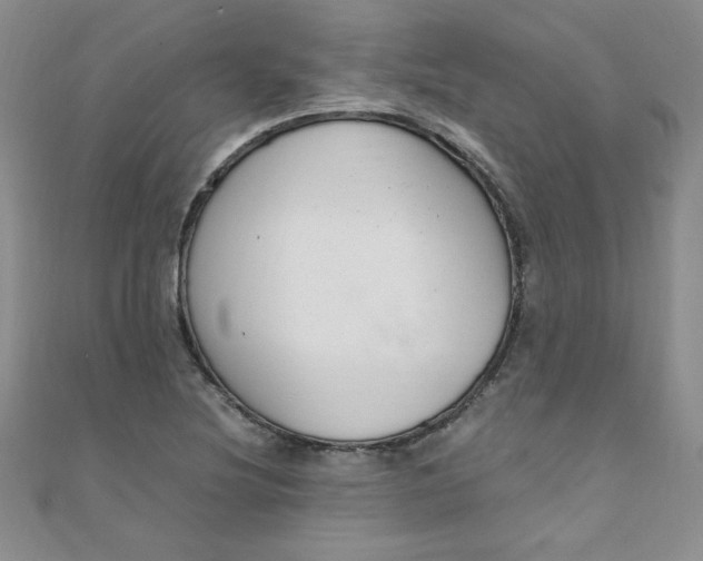 X0000108481220200904171603