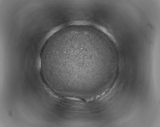 X0000108481221200904171603
