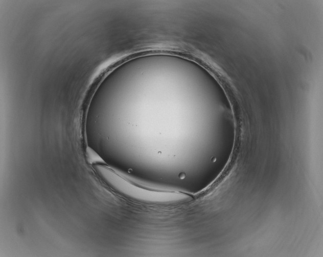 X0000108481222200904171604