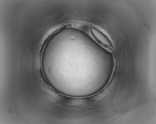 X0000108481223200904171604