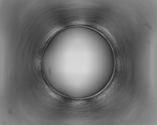 X0000108481225200904171604