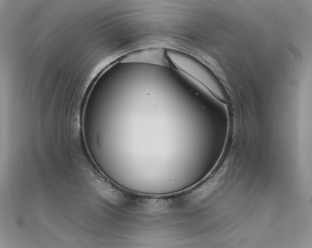 X0000108481226200904171604
