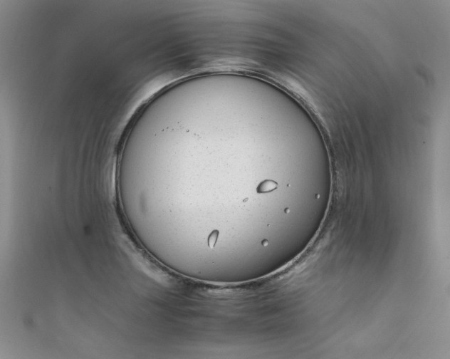 X0000108481227200904171604