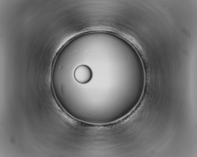 X0000108481228200904171604