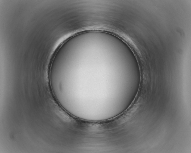 X0000108481230200904171604
