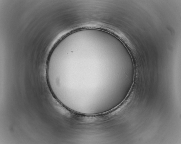 X0000108481232200904171604