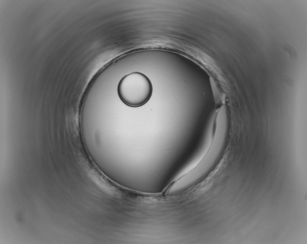 X0000108481234200904171604