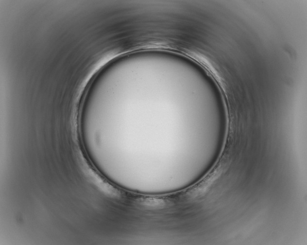 X0000108481235200904171604