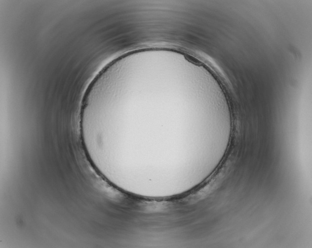 X0000108481236200904171604