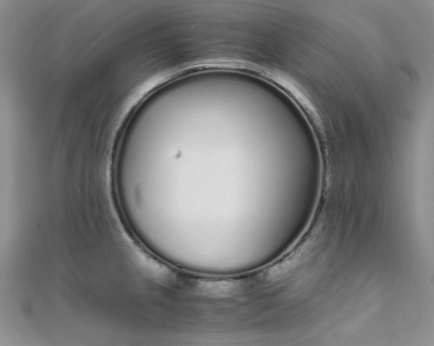 X0000108481237200904171604