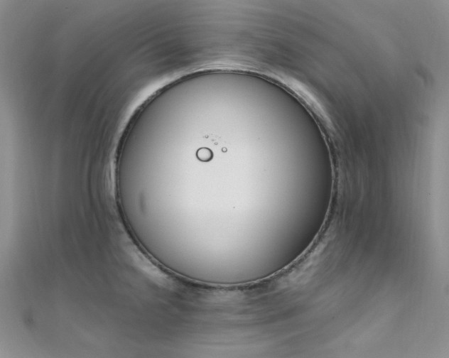 X0000108481238200904171604