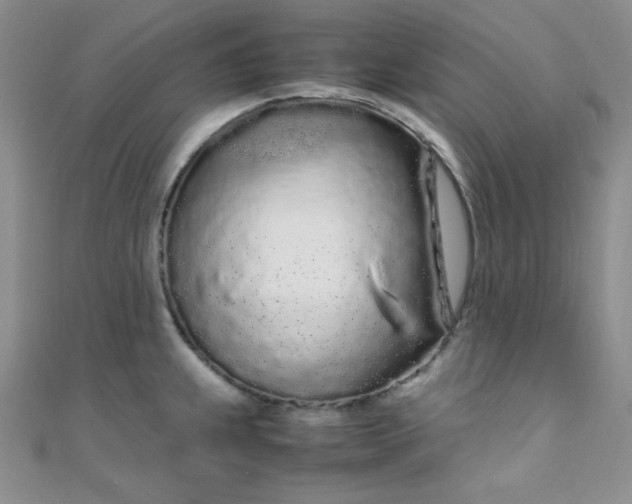 X0000108481239200904171604