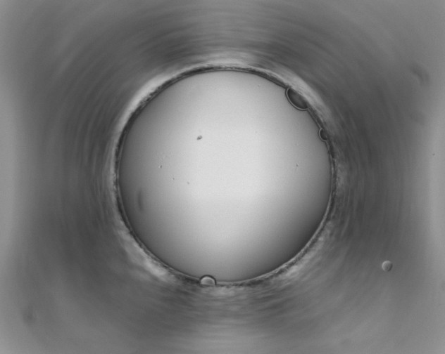 X0000108481240200904171604