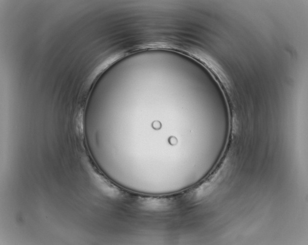 X0000108481241200904171604