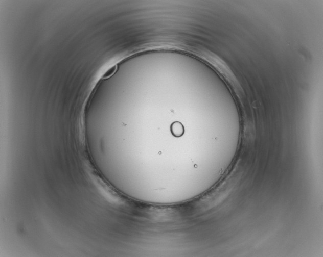 X0000108481242200904171604