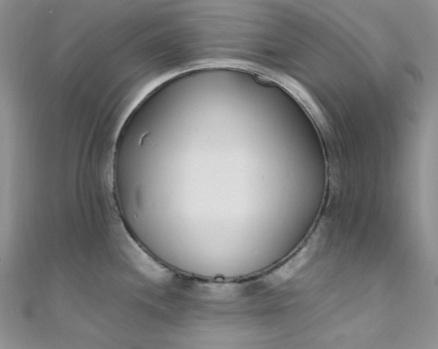 X0000108481244200904171604