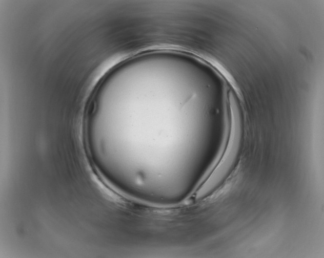 X0000108481245200904171604