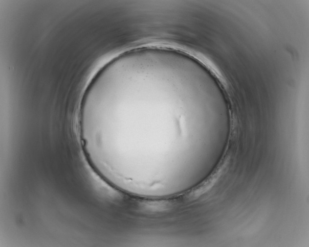 X0000108481247200904171604
