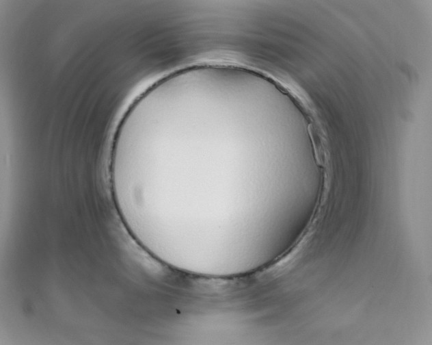 X0000108481248200904171604