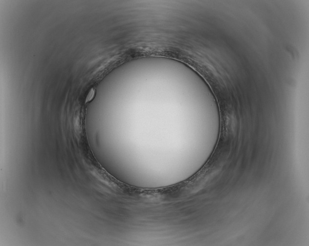 X0000108481250200904171603