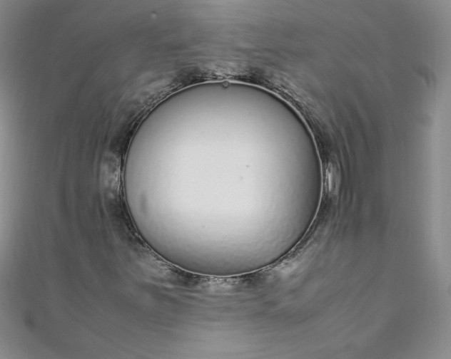 X0000108481251200904171603