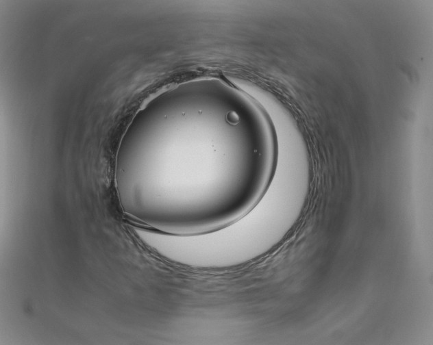 X0000108481253200904171603