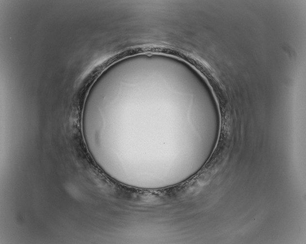 X0000108481255200904171603