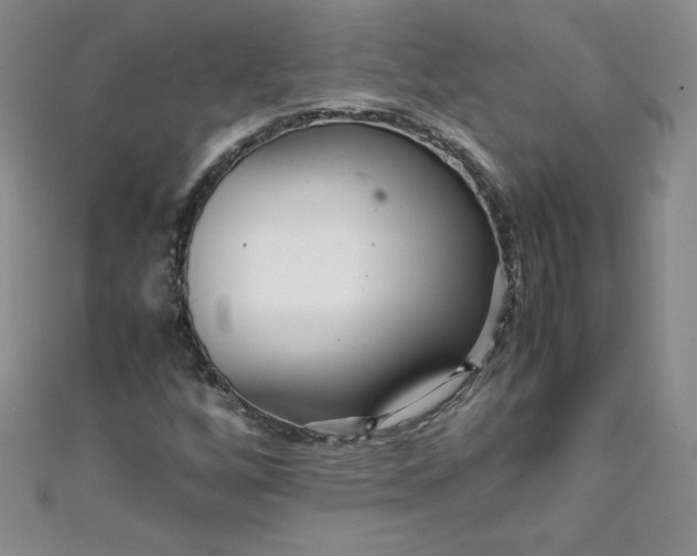 X0000108481256200904171603