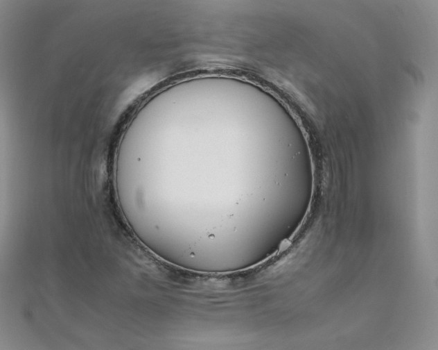 X0000108481261200904171603