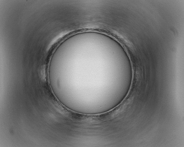 X0000108481262200904171603