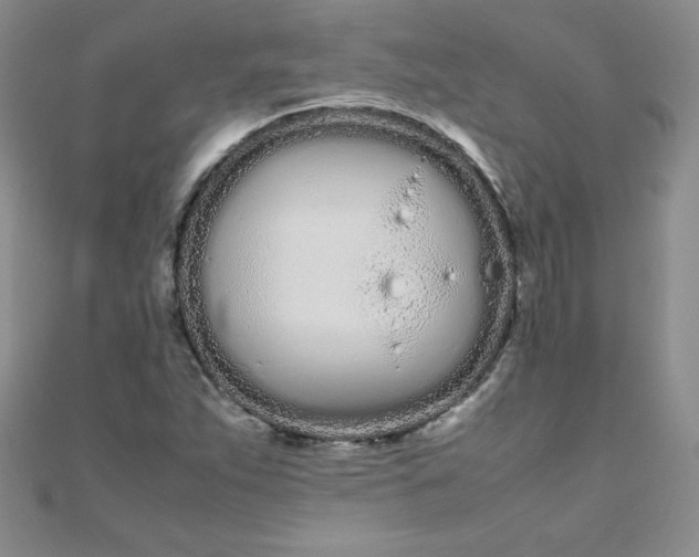 X0000108481263200904171603