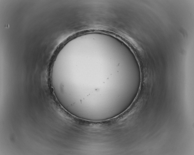 X0000108481264200904171603